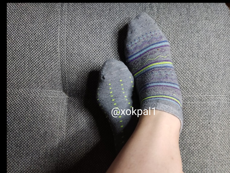 xokpal1 @xokpal1 onlyfans cover picture