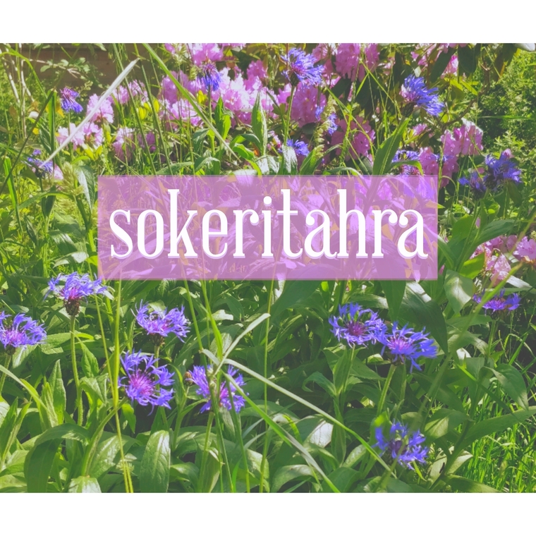 sokeritahra @sokeritahra onlyfans cover picture