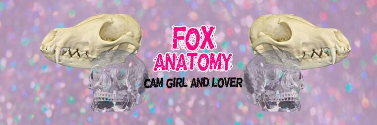 fox_anatomy @fox_anatomy onlyfans cover picture