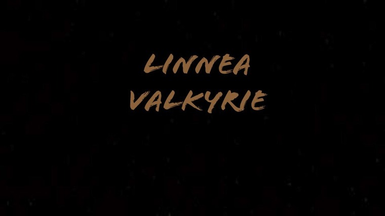 linneavalkyrie @linneavalkyrie onlyfans cover picture