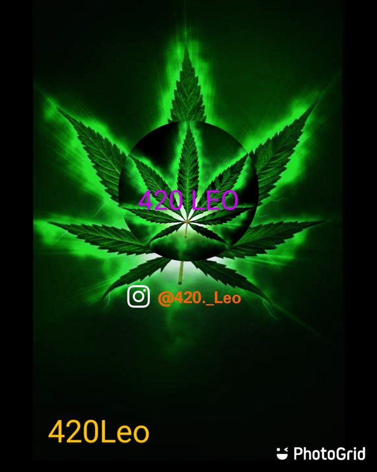 papa420leo @papa420leo onlyfans cover picture