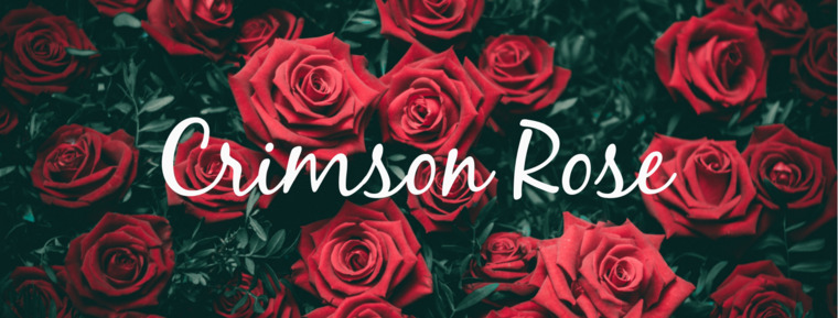 crimsonrose27 @crimsonrose27 onlyfans cover picture