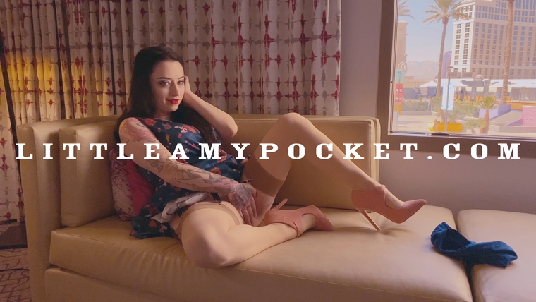 littleamypocket @littleamypocket onlyfans cover picture