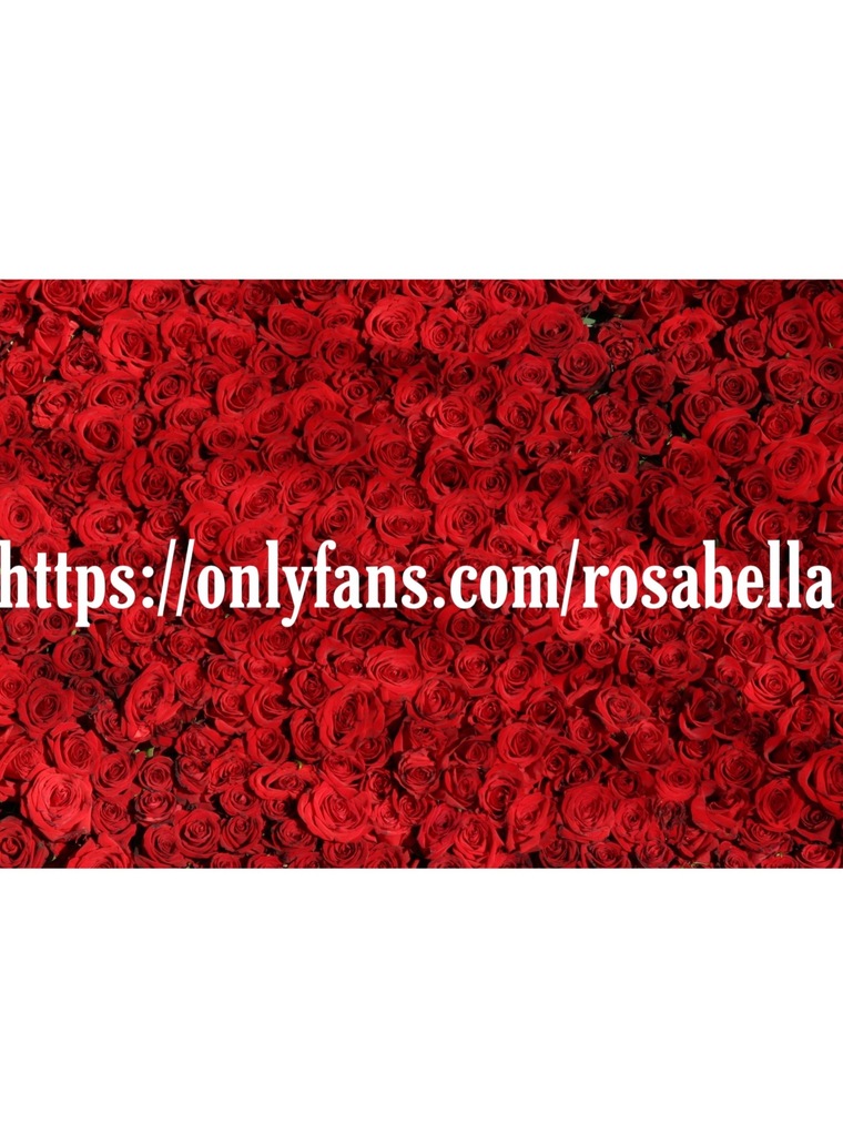 rosabella @rosabella onlyfans cover picture